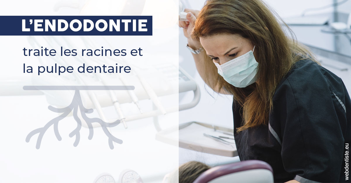 https://dr-dondoglio-virginie.chirurgiens-dentistes.fr/L'endodontie 1