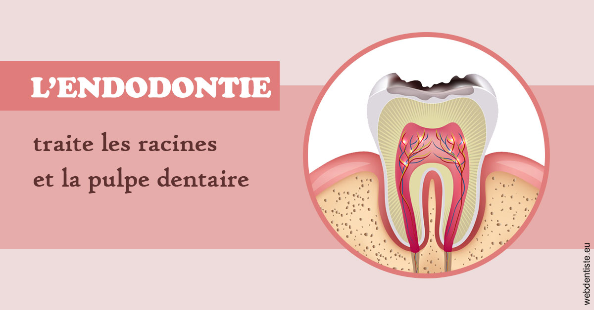 https://dr-dondoglio-virginie.chirurgiens-dentistes.fr/L'endodontie 2