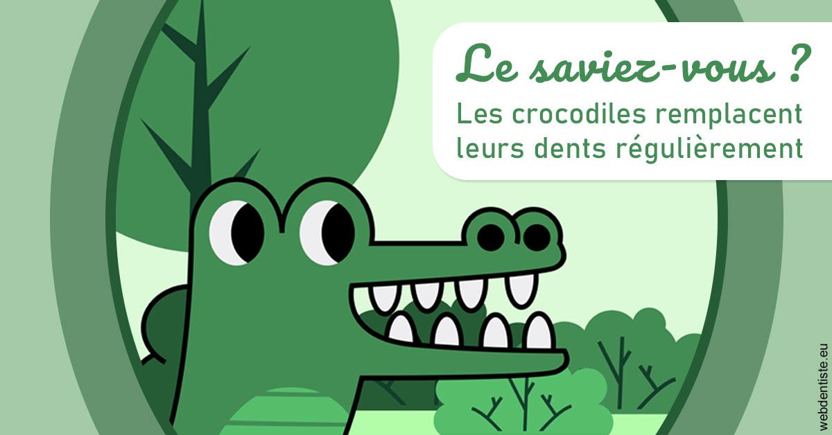 https://dr-dondoglio-virginie.chirurgiens-dentistes.fr/Crocodiles 2