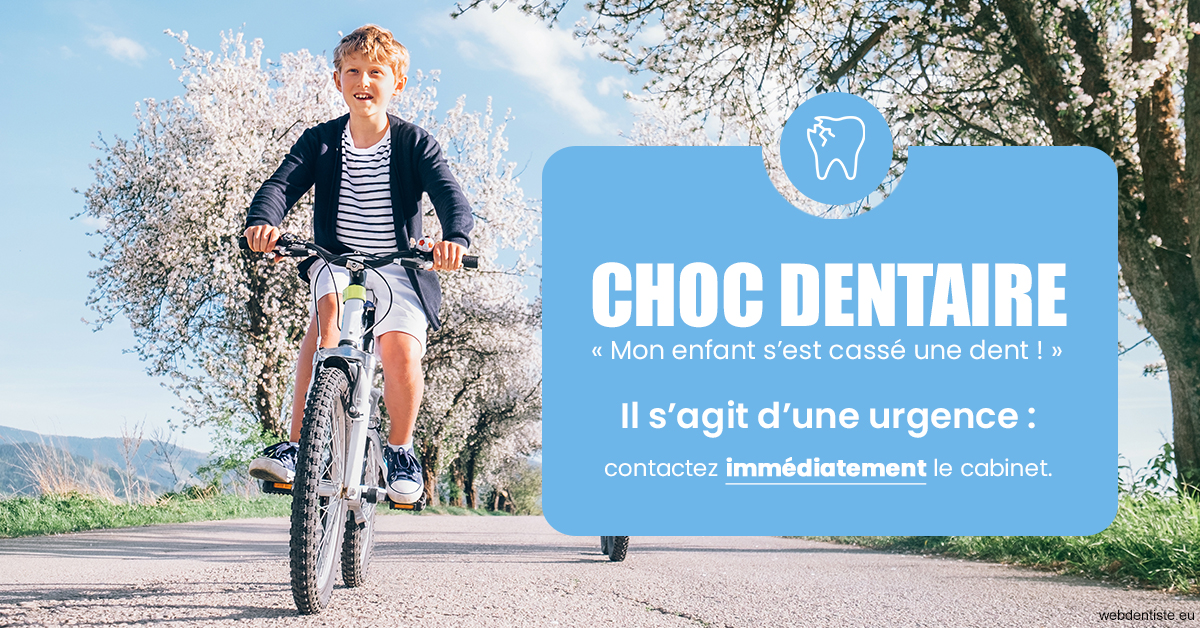 https://dr-dondoglio-virginie.chirurgiens-dentistes.fr/T2 2023 - Choc dentaire 1